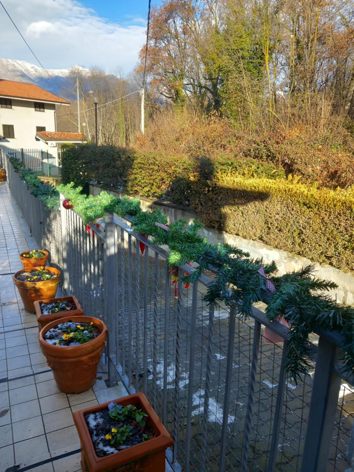 Il Laghetto Bed & Breakfast Torre Canavese Exterior photo